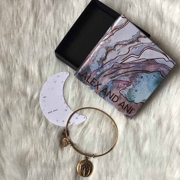 Alex and Ani Bracelet - Picture 2 of 5